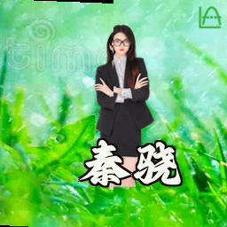 秦骁